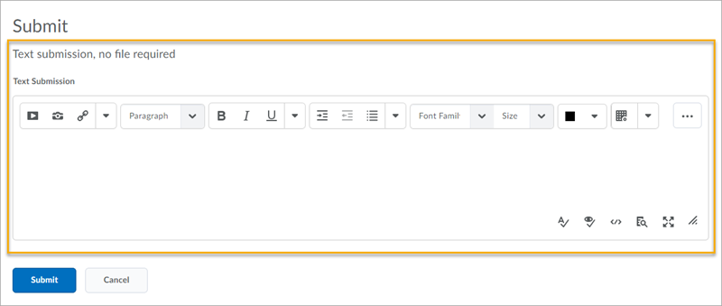 The Text Submission editor appears directly on the Submit Assignment page for learners