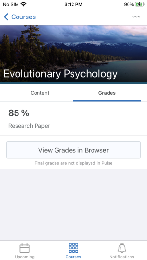The new Grades tab for a course in Brightspace Pulse