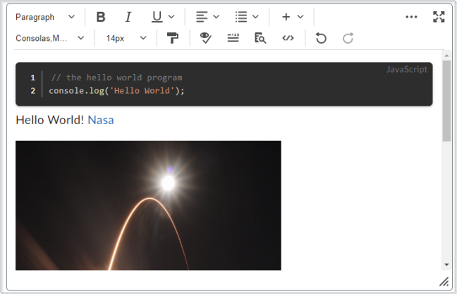 The code snippet inserted into the content with Brightspace Editor