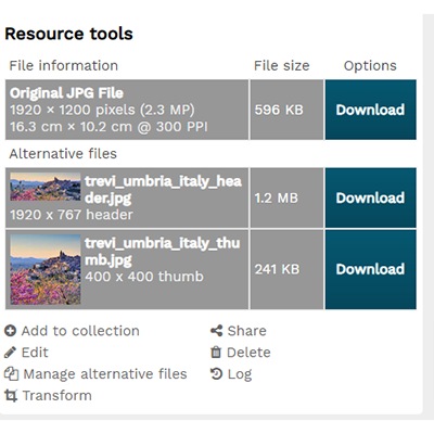 resource view with alternate files screen capture