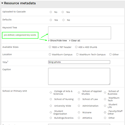 meta data fields