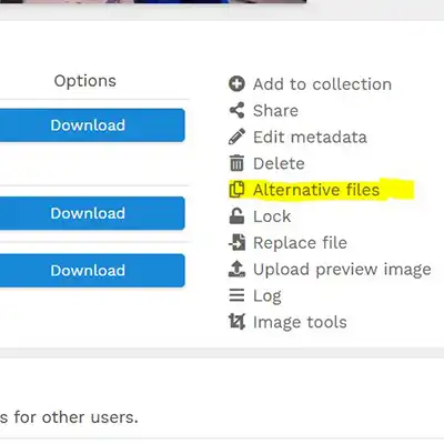 screen capture of resourcespace image editing options with alternate images highlighted