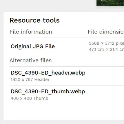 resourcespace image details showing naming convention